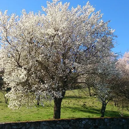 Flor Do Douro - Comércio E Hotelaria, Lda