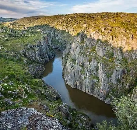 Πανσιόν Flor Do Douro - Comercio E Hotelaria, Lda 3*