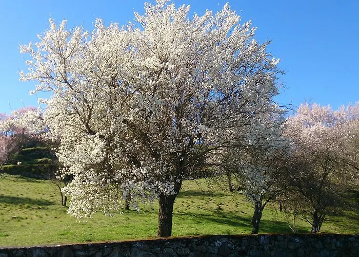 Flor Do Douro - Comercio E Hotelaria, Lda