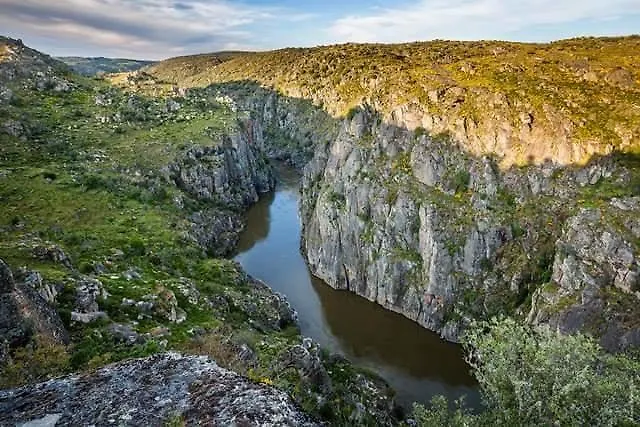 게스트하우스 Flor Do Douro - Comercio E Hotelaria, Lda 3*