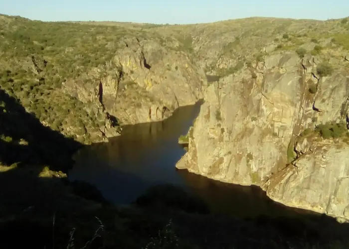 게스트하우스 Flor Do Douro - Comercio E Hotelaria, Lda